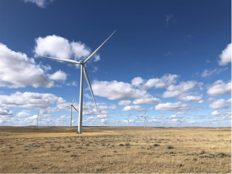Wind Turbine Field