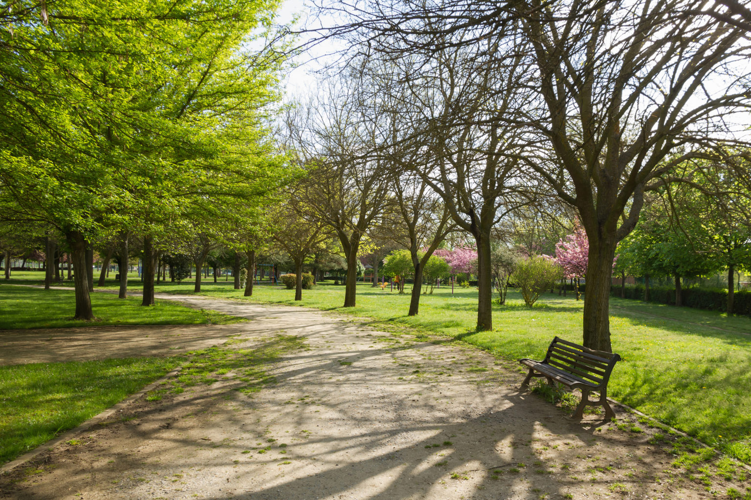 Trail and park bench