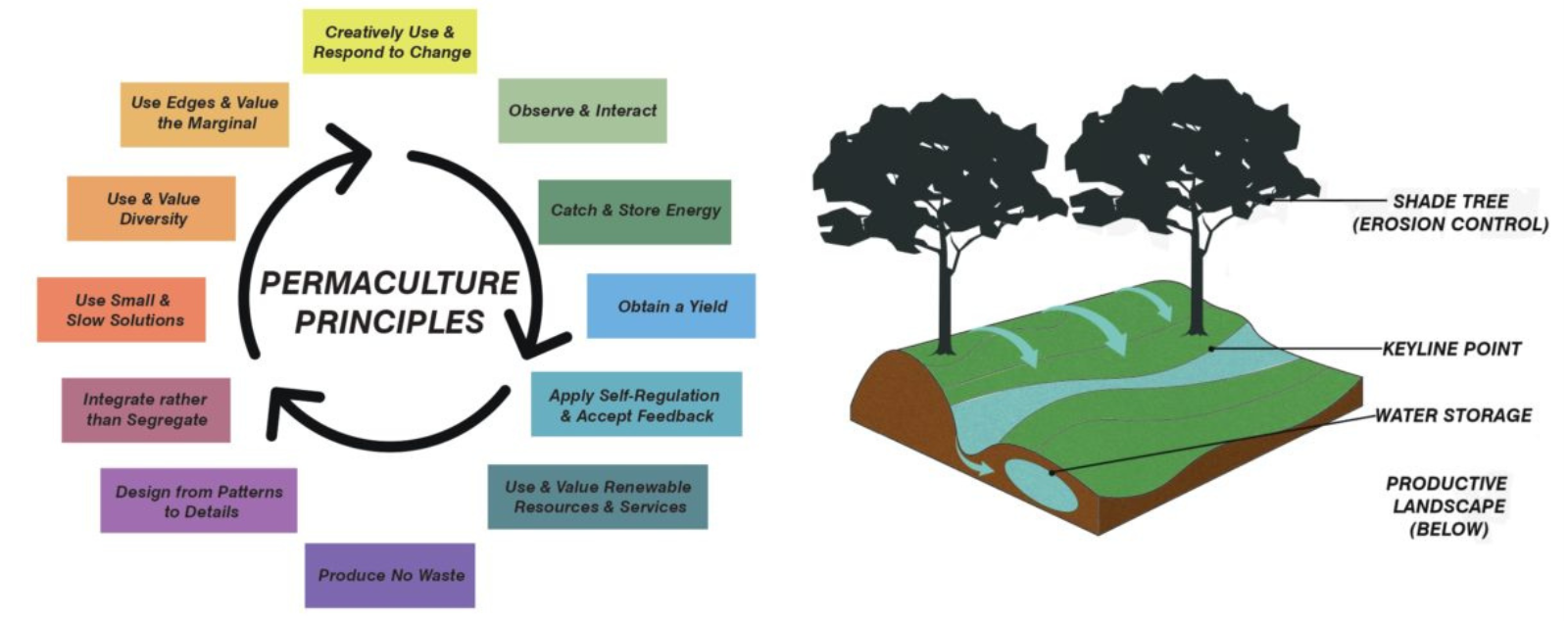 charts and graphics showing permaculture principles